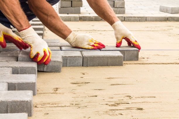 Best Professional Driveway Pavers  in Palmview South, TX