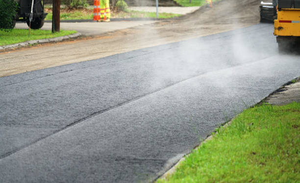 Best Brick Driveway Pavers  in Palmview South, TX