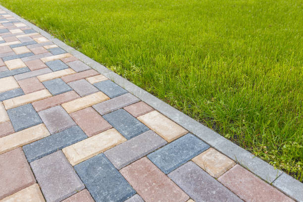 Best Driveway Pavers for Homes  in Palmview South, TX